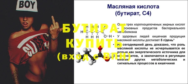 PSILOCYBIN Ельня