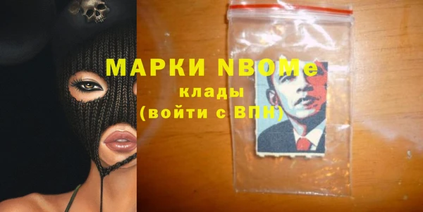 PSILOCYBIN Ельня