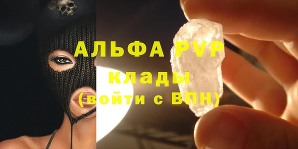 PSILOCYBIN Ельня