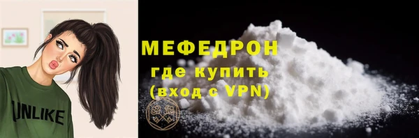 PSILOCYBIN Ельня