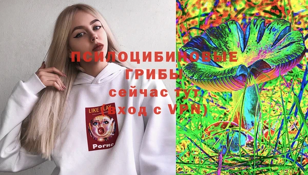 PSILOCYBIN Ельня