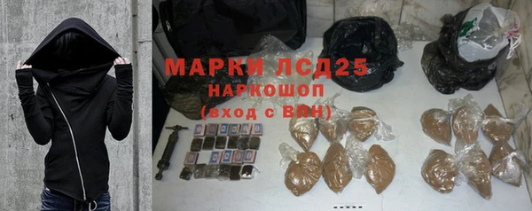 PSILOCYBIN Ельня