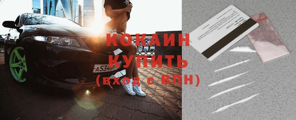 стафф Заводоуковск