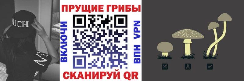 Купить закладки  Ермолино  Псилоцибиновые грибы MAGIC MUSHROOMS 